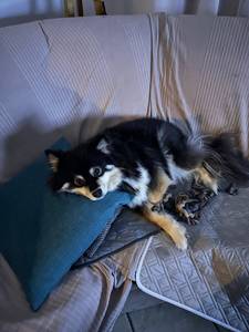 rencontre avec Rachel