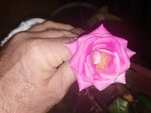 Bryant rencontre avec Bryant