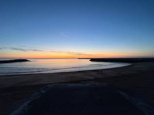 rencontre avec Wilfred