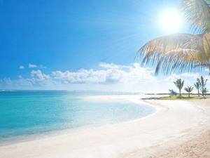 Cedric rencontre avec Cedric