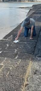 rencontre avec Ismael