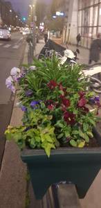 rencontre avec Daryl