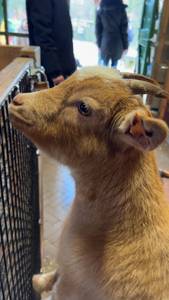 Alton rencontre avec Alton