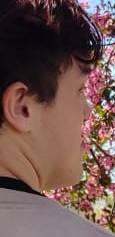 Annonce homme