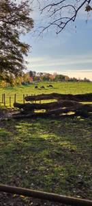 Jordan rencontre avec Jordan