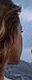 rencontre avec Shannon