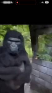 Sossa