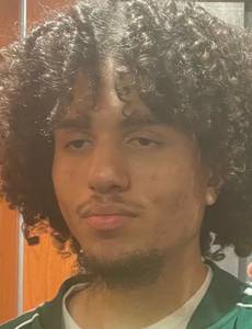 Alvin rencontre avec Alvin