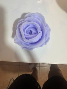 Rosemarie