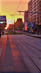 rencontre avec Willie