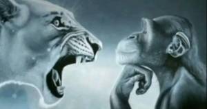 rencontre avec Frank