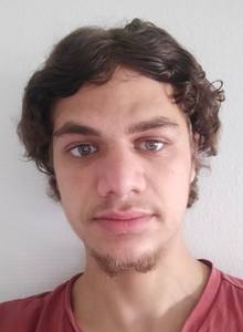 Homer rencontre avec Homer