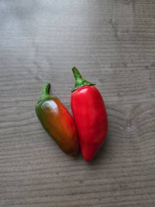 Wilbert rencontre avec Wilbert