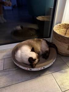 Maryann rencontre avec Maryann