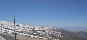 célibataire de Tavernes Blanques
