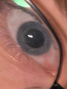 Frank rencontre avec Frank