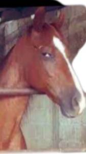 rencontre avec Harry