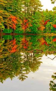 Femme célibataire 38 ans à Aubenas