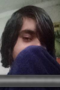 Allifersnsntr38