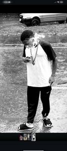 Terence