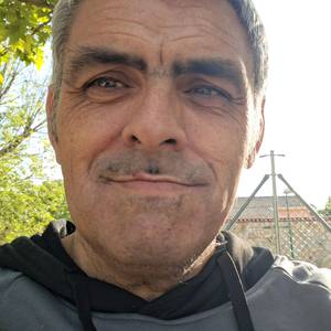 Germanteat44