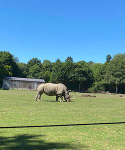 rencontre avec Santos