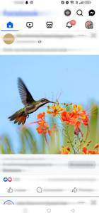 rencontre avec Pauline