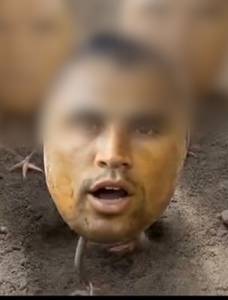 rencontre avec Wilson