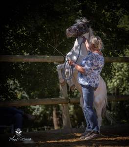 Femme célibataire 58 ans à Melun