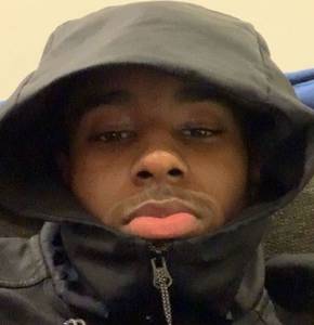 Voir le Profil