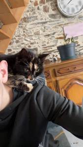 rencontre avec Dana