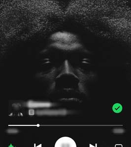 rencontre avec Willie