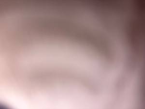 Martha rencontre avec Martha