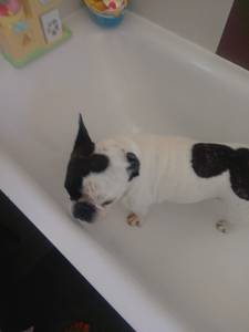 rencontre avec Tamara