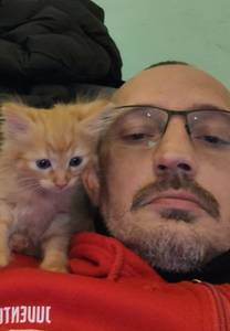 rencontre avec Doyle