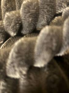 Pedro rencontre avec Pedro