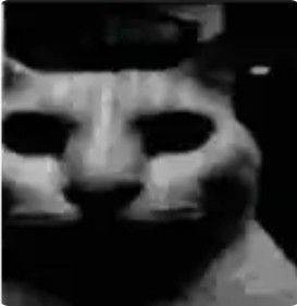 rencontre avec Jerome