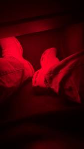 rencontre avec Johnny