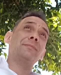 Robertollinar80