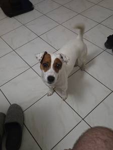 rencontre avec Theodore