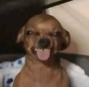 rencontre avec Rachael