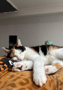 rencontre avec Mitchell