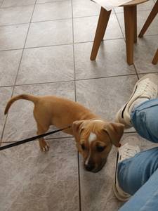 Kurt rencontre avec Kurt