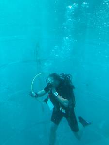 rencontre avec Robin