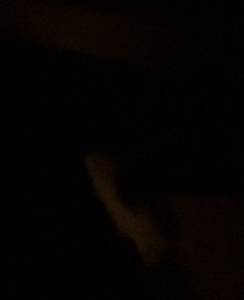 rencontre avec Duane