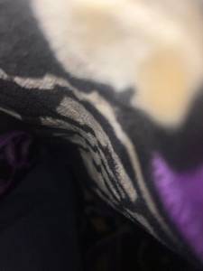 Francisco rencontre avec Francisco