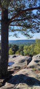 rencontre avec Fredrick