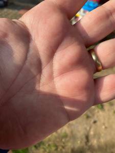 Saul rencontre avec Saul