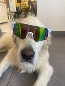 rencontre avec Franklin