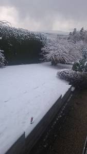 Mable jolie ronde, cherche une rencontre